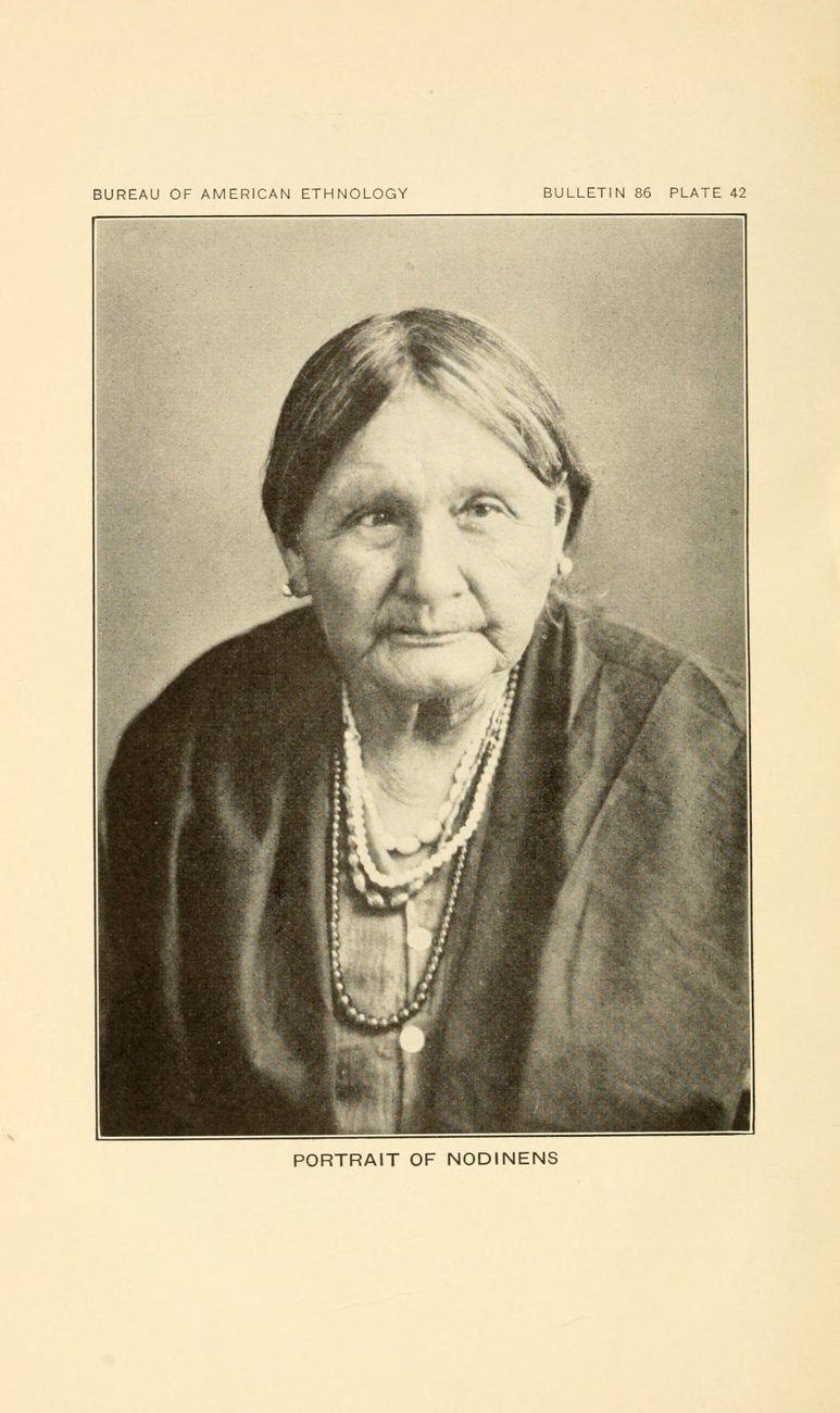 Plate 42. Portrait of Nodinens