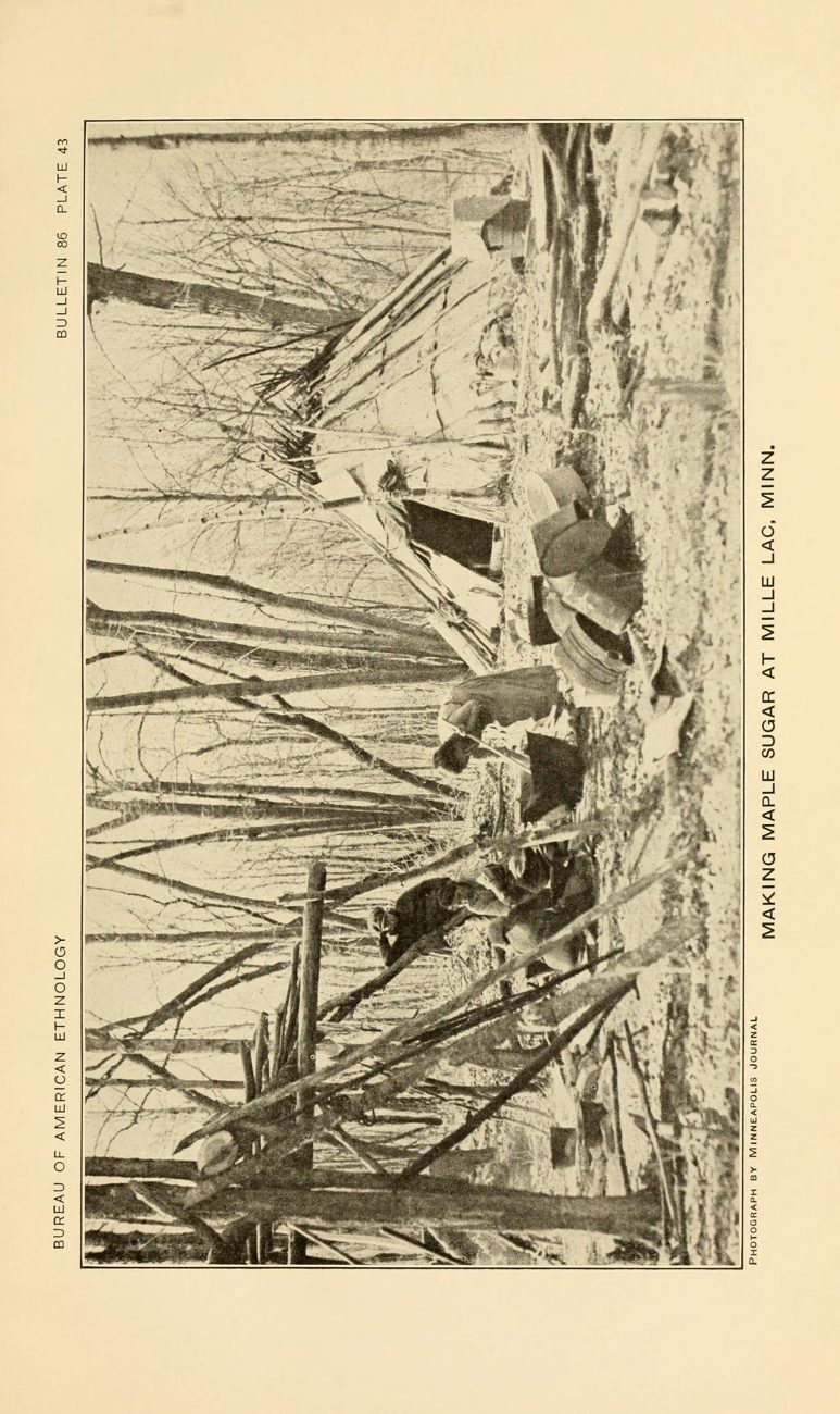 Plate 43. Making maple sugar at Mille Lac, Minn.