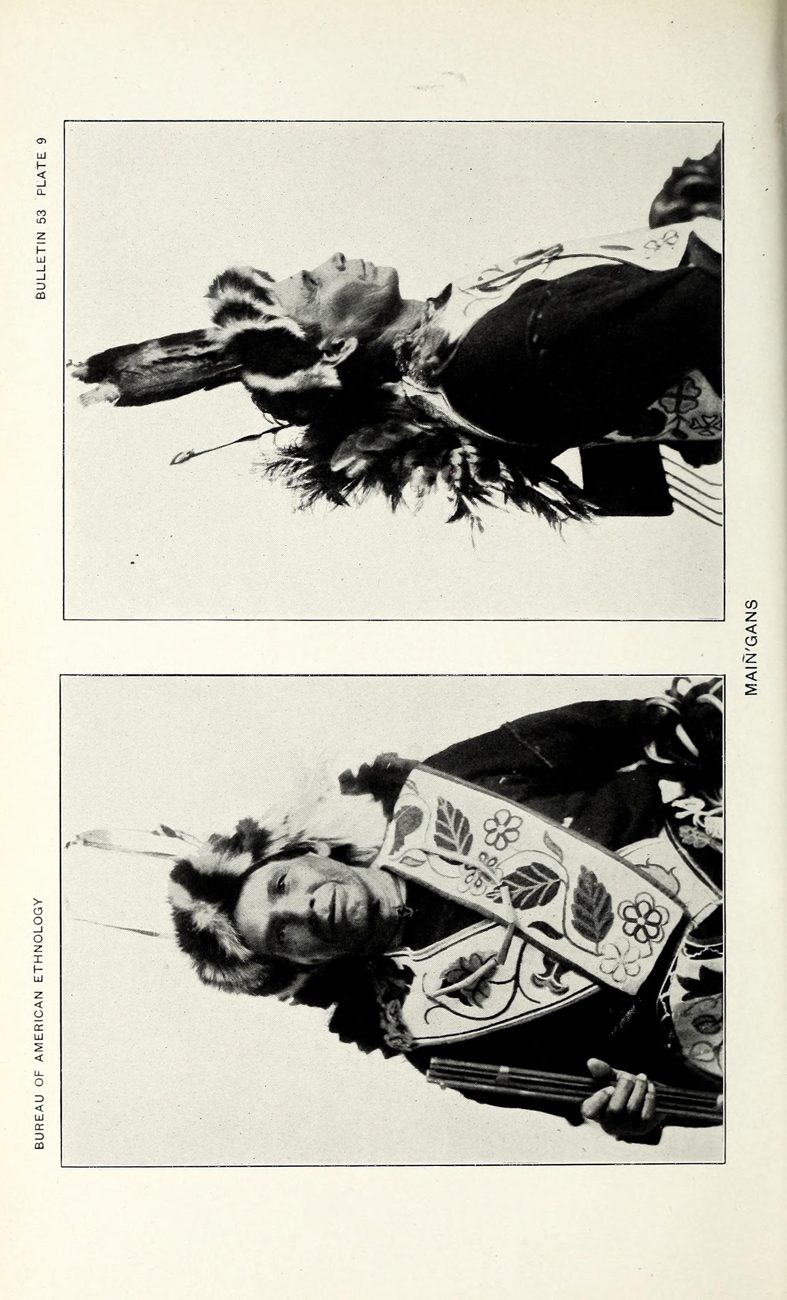 Plate 9. Main'gans